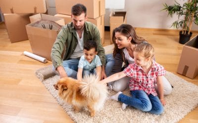 Moving House With A Dog: Tips For Successful Move With Your Pet