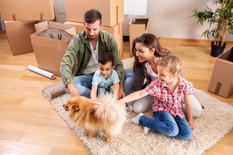 tips for stress-free moving with a dog